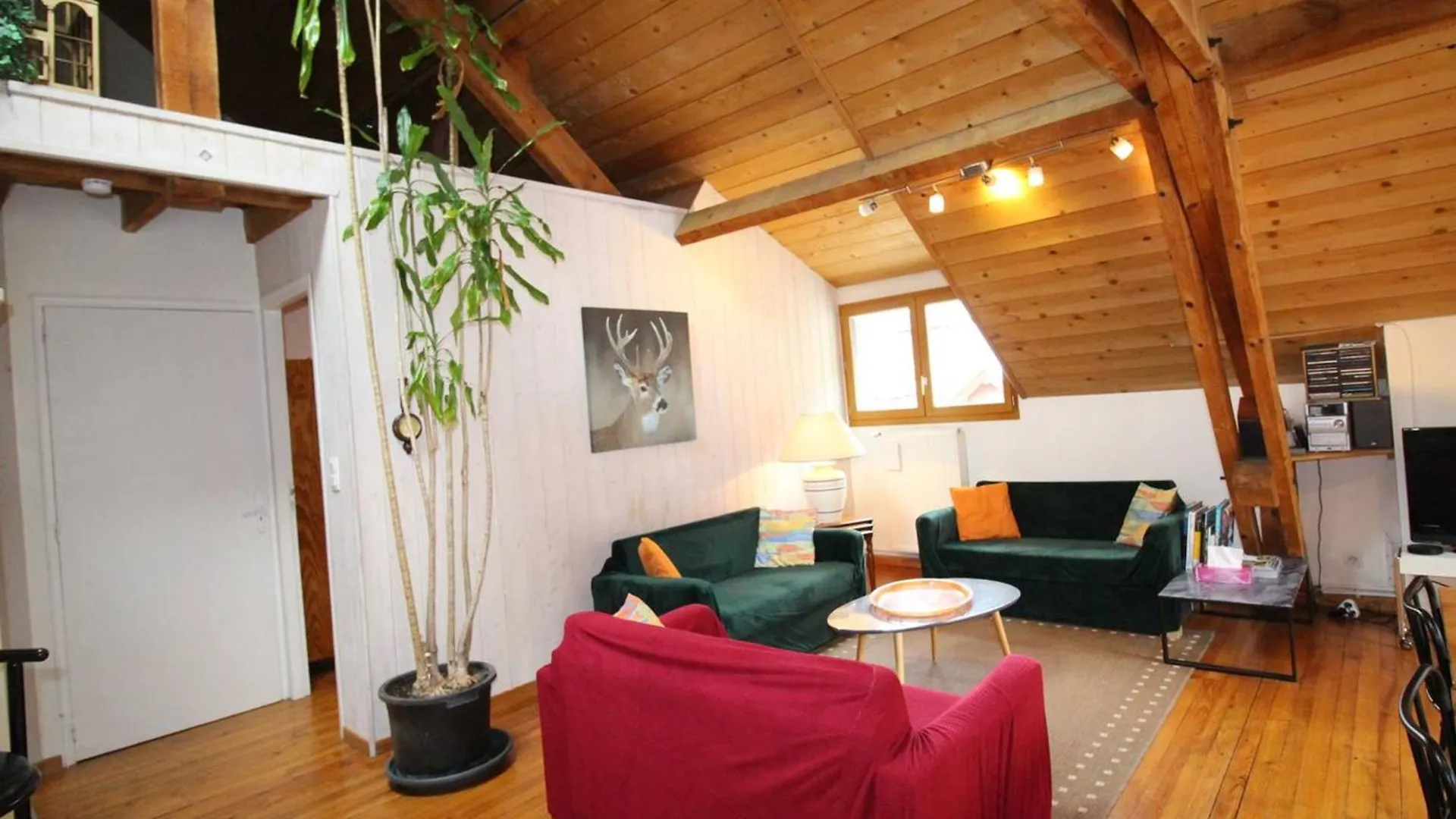 Bagnères-de-Luchon Duplex 140 M² Pour 8 Pers. A Luchon Proche Telecabine Et Thermes, Tout Confort, Wifi, Animaux Ok - Fr-1-313-231 아파트